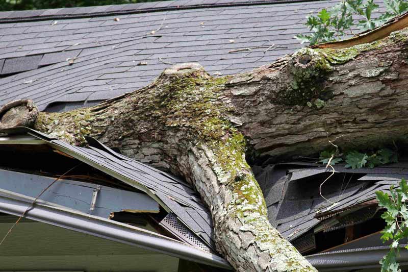 Storm damage requiring emergency roof repair in Scotland's Central Belt.